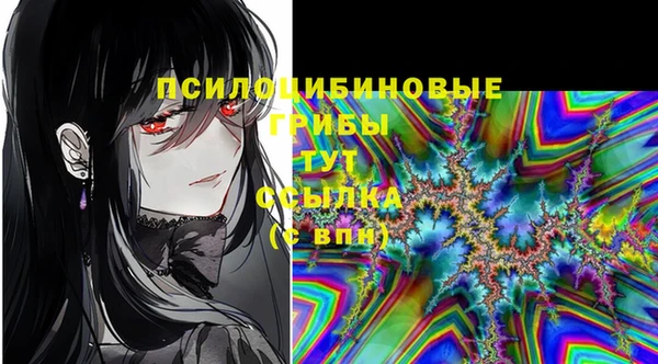 стафф Беломорск