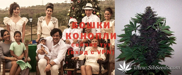 стафф Беломорск